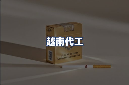 越南代工